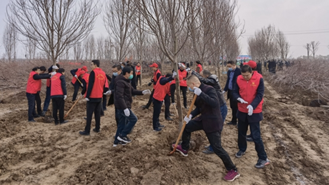 栽下樹苗，留下新綠