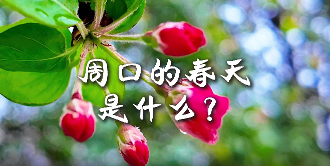 周口的春天，待你慢慢遇見(jiàn)